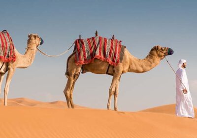 An Tour In Glitzy Dubai 6 Days & 5 Nights