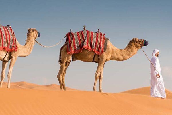 An Tour In Glitzy Dubai 6 Days & 5 Nights